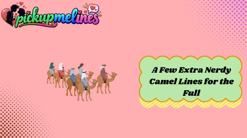 A Few Extra Nerdy Camel Lines for the Full