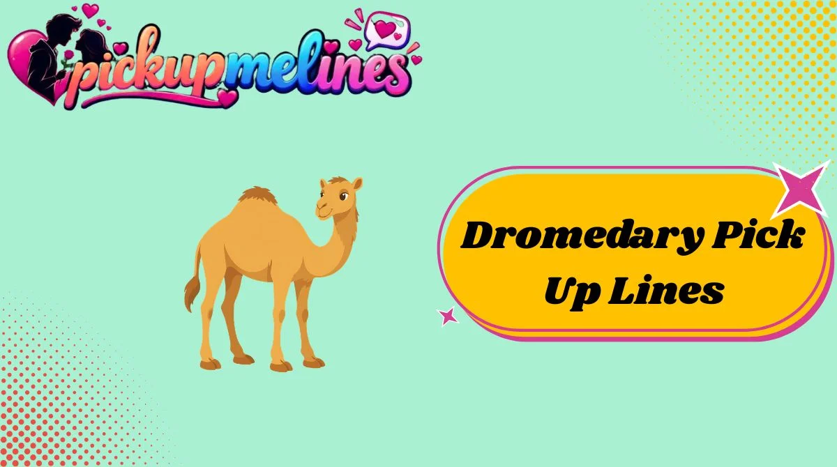 Dromedary Pick Up Lines
