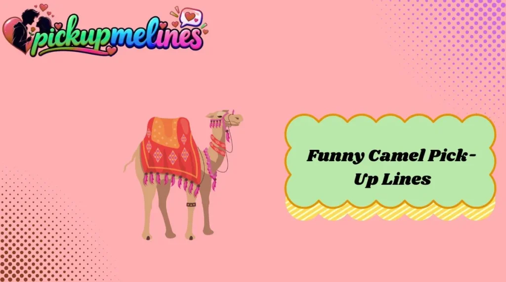 Funny Camel Pick-Up Lines