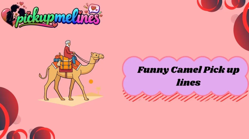 Funny Camel Pick up lines