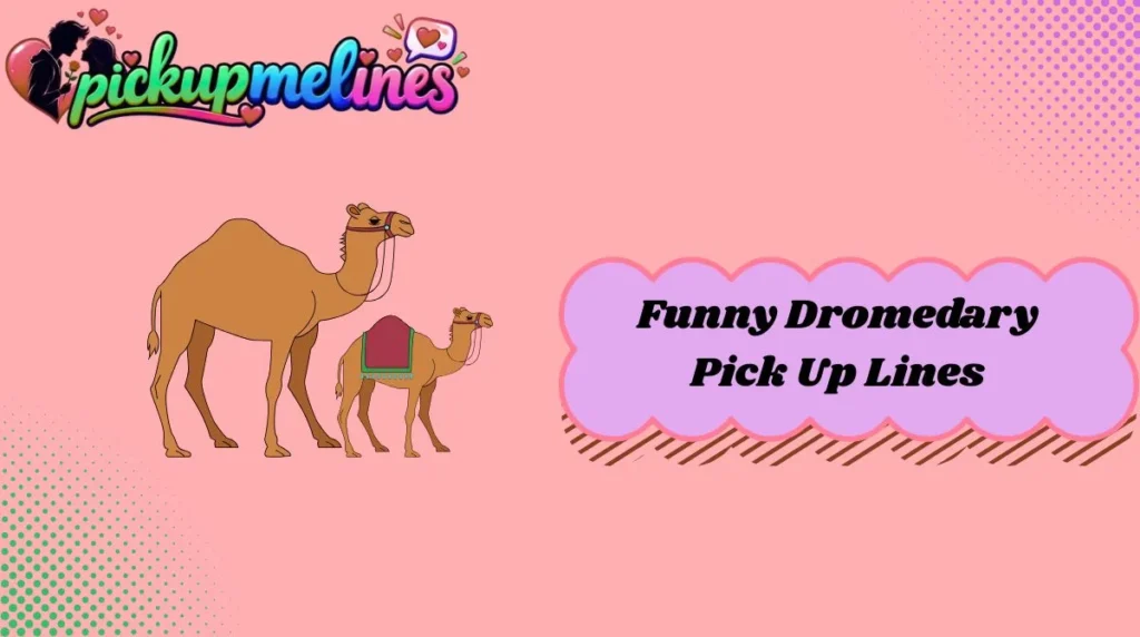 Funny Dromedary Pick Up Lines