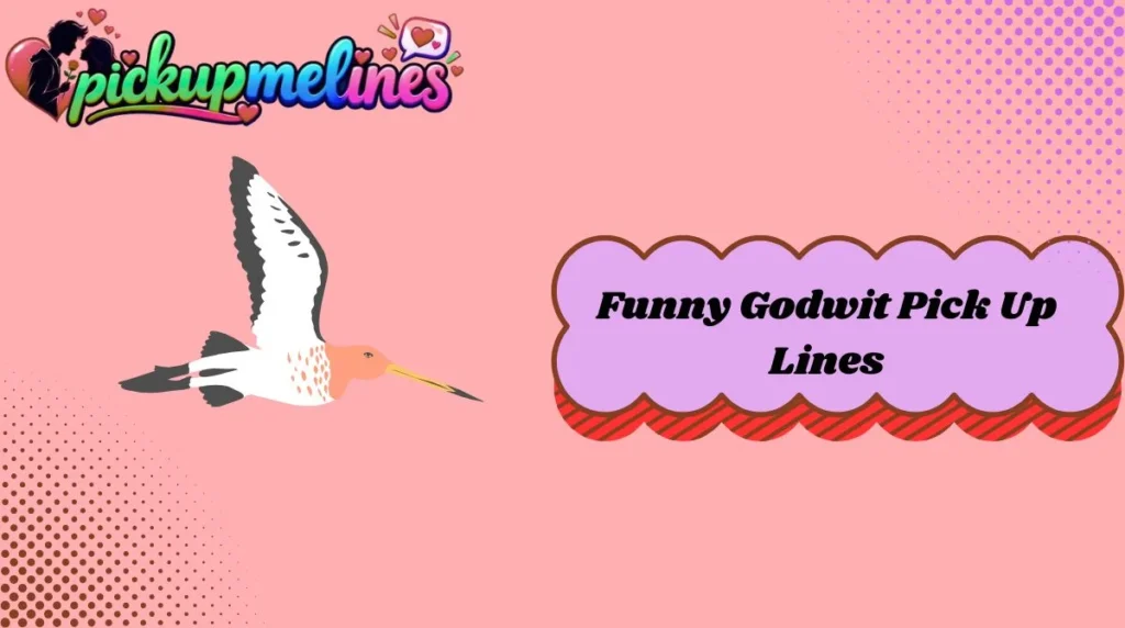 Funny Godwit Pick Up Lines
