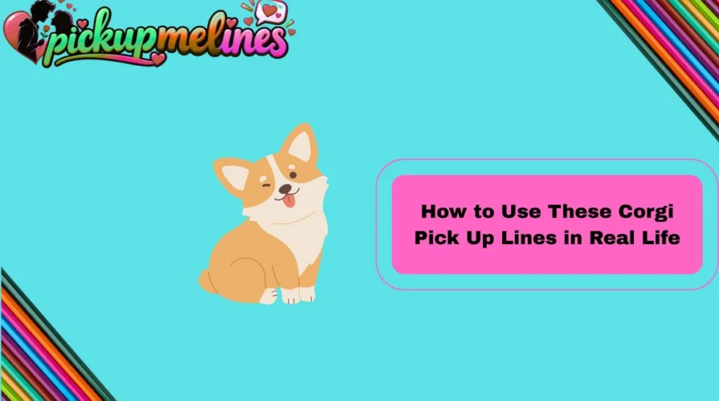How to Use These Corgi Pick Up Lines in Real Life