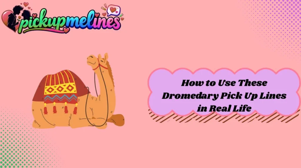 How to Use These Dromedary Pick Up Lines in Real Life