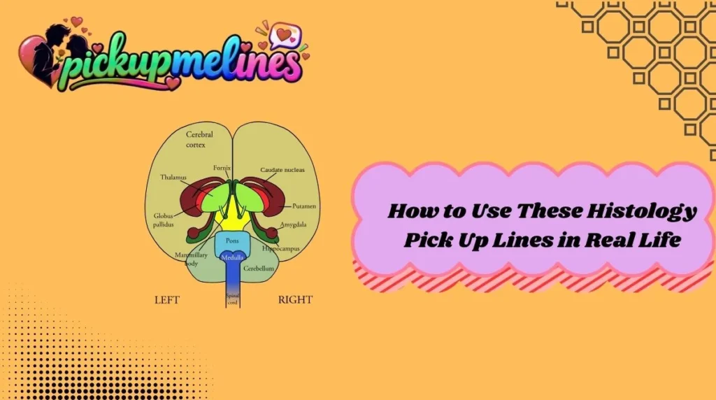 How to Use These Histology Pick Up Lines in Real Life