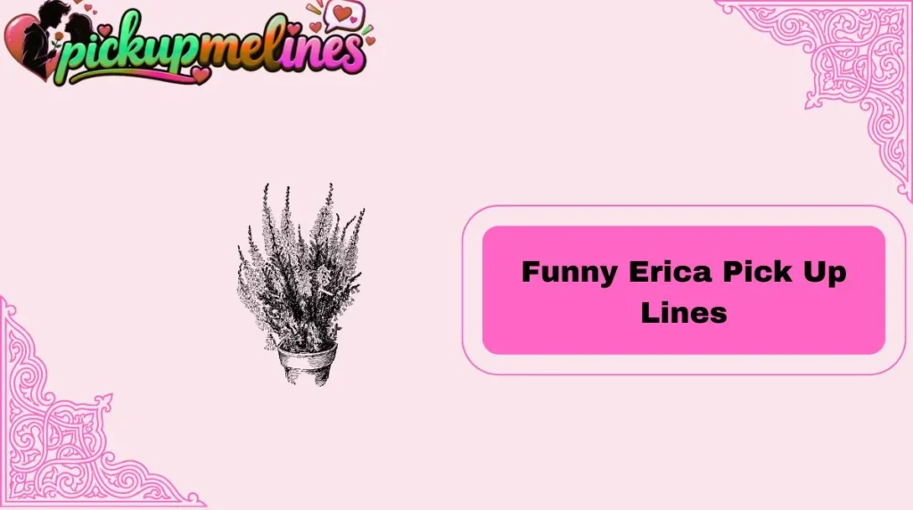 Funny Erica Pick Up Lines